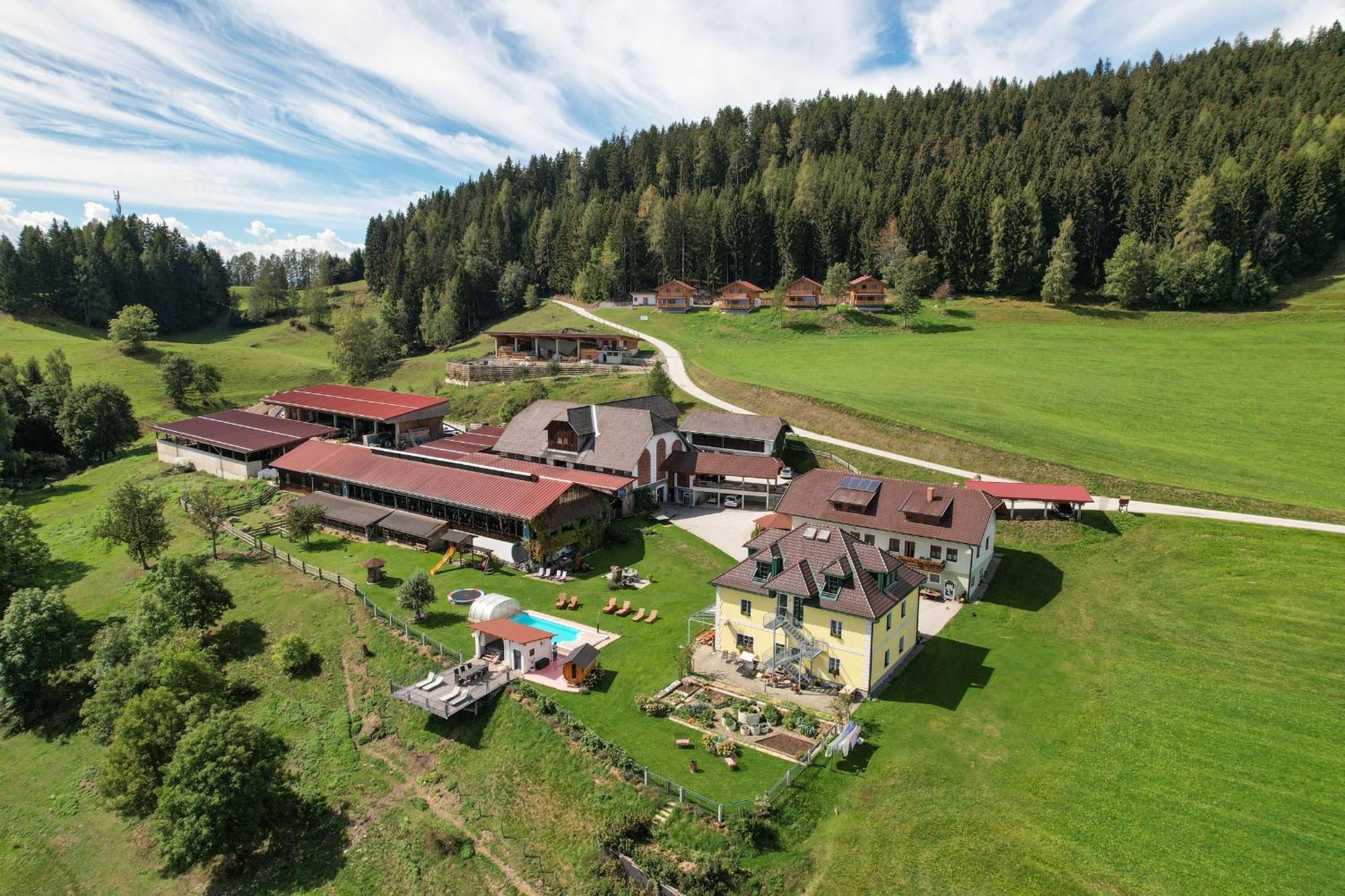 Hochleben-Chalets Am Erlebnisbauernhof Steinerhof Liebenfels Exterior foto